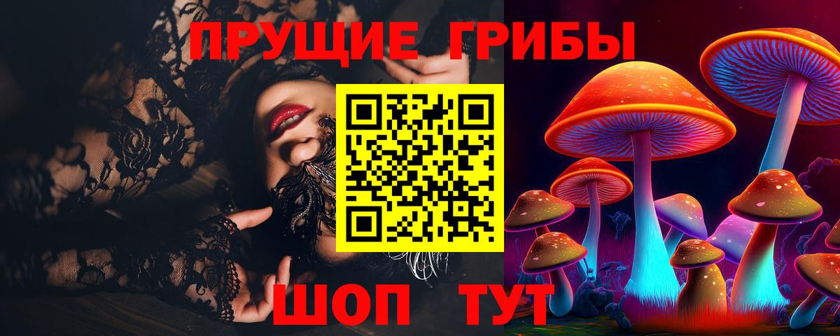 Каменск-Уральский  Галлюциногенные грибы Psilocybe  Вход с VPN 